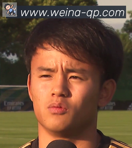 维尼修斯